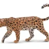 African Leopard