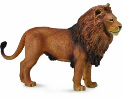African Lion