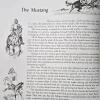 Album of Horses Book