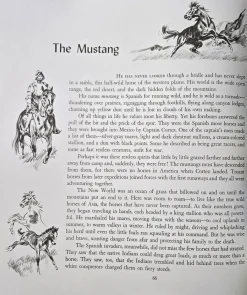 Album of Horses Book