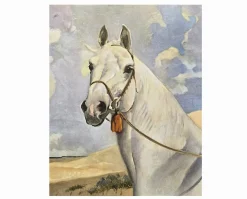 Album of Horses Book