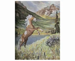 Album of Horses Book & Arabian Horse Gift Set