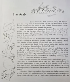 Album of Horses Book & Arabian Horse Gift Set