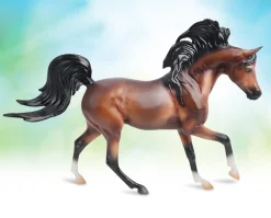 Album of Horses Book & Arabian Horse Gift Set