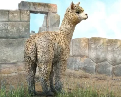 Alpaca
