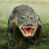 American Alligator