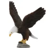 American Bald Eagle