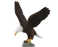 American Bald Eagle