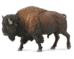 American Bison