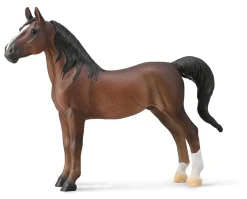 American Saddlebred Stallion | Bay