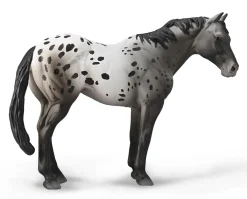 Appaloosa Stallion | Blue Varnish Roan