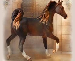 Arabian Mare | Liver Chestnut