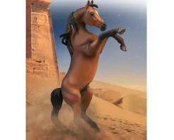 Arabian Stallion Rearing | Bay