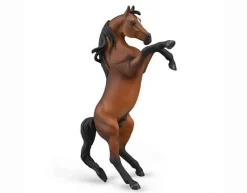 Arabian Stallion Rearing | Bay