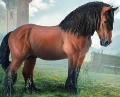 Ardennes Stallion | Bay