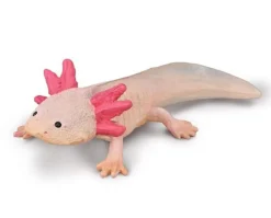Axolotl