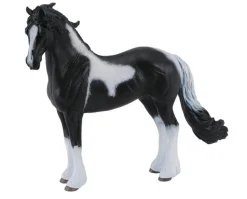 Barock Pinto Stallion