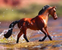 Bay Thoroughbred Mare