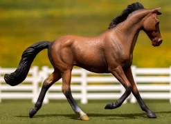 Bay Thoroughbred Mare