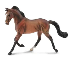 Bay Thoroughbred Mare