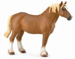 Belgian Mare | Chestnut