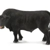 Black Angus Bull