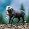 Black Forest Horse Stallion