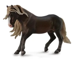 Black Forest Horse Stallion