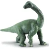 Brachiosaurus Baby