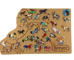 Breyer Pin Corkboard