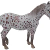 British Spotted Pony Mare | Chestnut Leopard