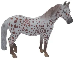 British Spotted Pony Mare | Chestnut Leopard