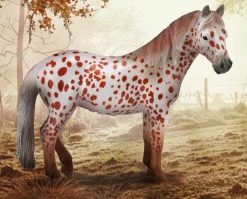 British Spotted Pony Mare | Chestnut Leopard