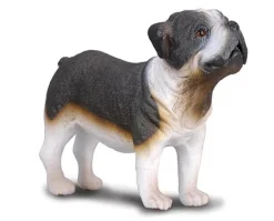 Bulldog