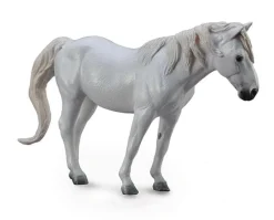 Camargue