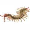 Centipede