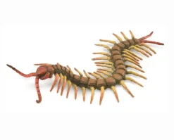 Centipede