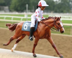 Cheryl White | Rider, Horse, and Book Set