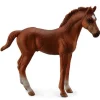 Chestnut Thoroughbred Foal - Standing