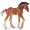 Clydesdale Foal | Bay