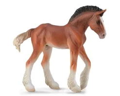 Clydesdale Foal | Bay
