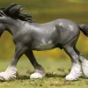 Clydesdale Stallion | Black Sabino Roan