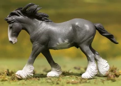 Clydesdale Stallion | Black Sabino Roan