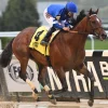 Cody's Wish | Make-A-Wish Commemorative Edition
