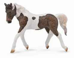 Curly Horse Mare