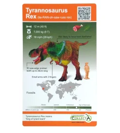 Dinosaur Blind Bag 24 Piece Display | With AR Feature
