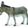 Donkey
