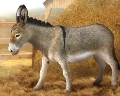 Donkey