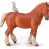 Draft Horse with Cat