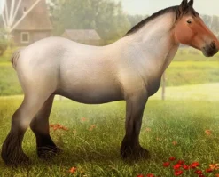Dutch Draft Mare | Roan